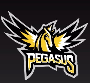 Pegasus Plus smart tv